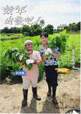 向往的生活海岛篇 - 片吧影院
